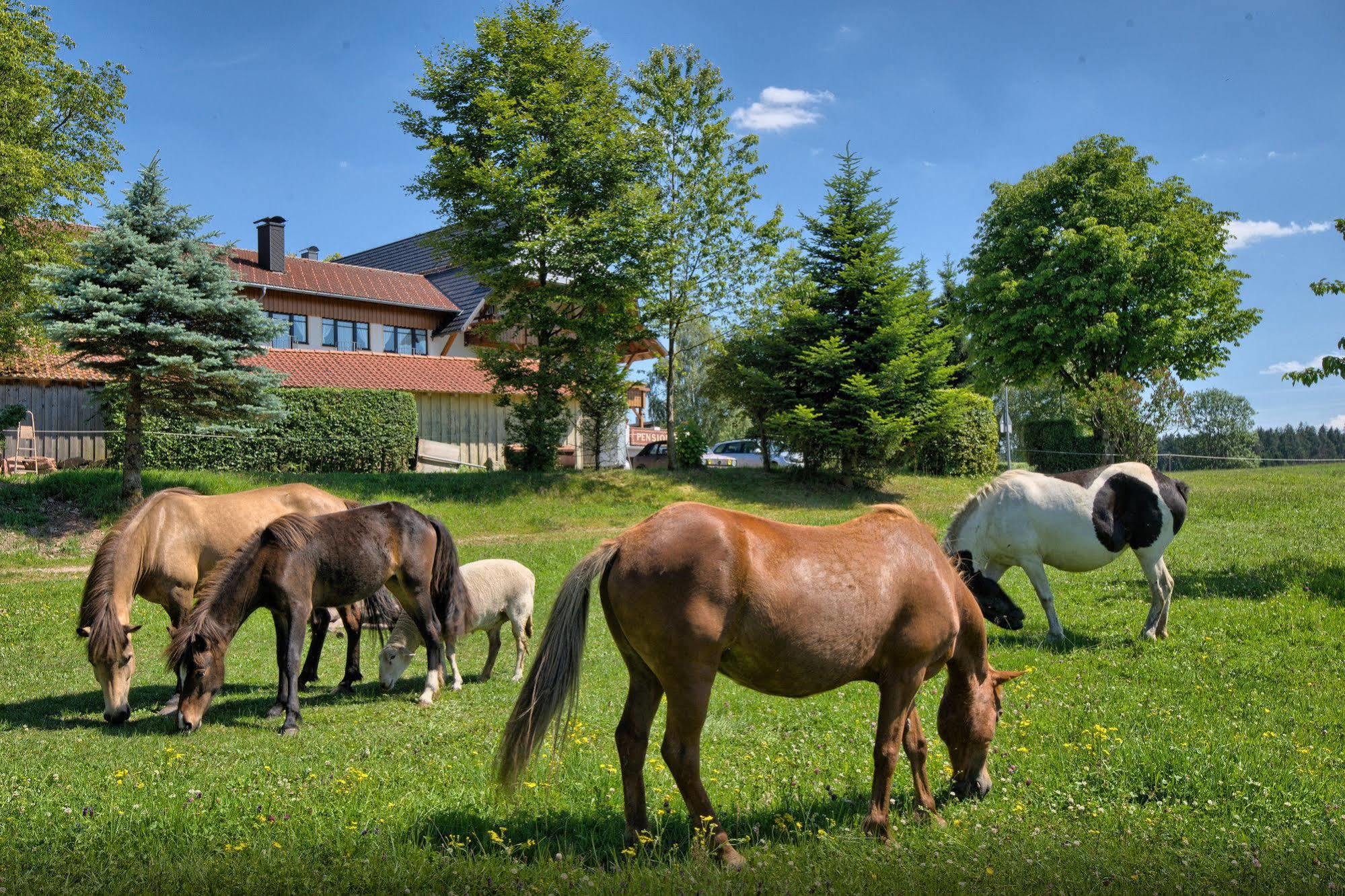 Landgasthof Zum Schwanen Хорнберг Экстерьер фото